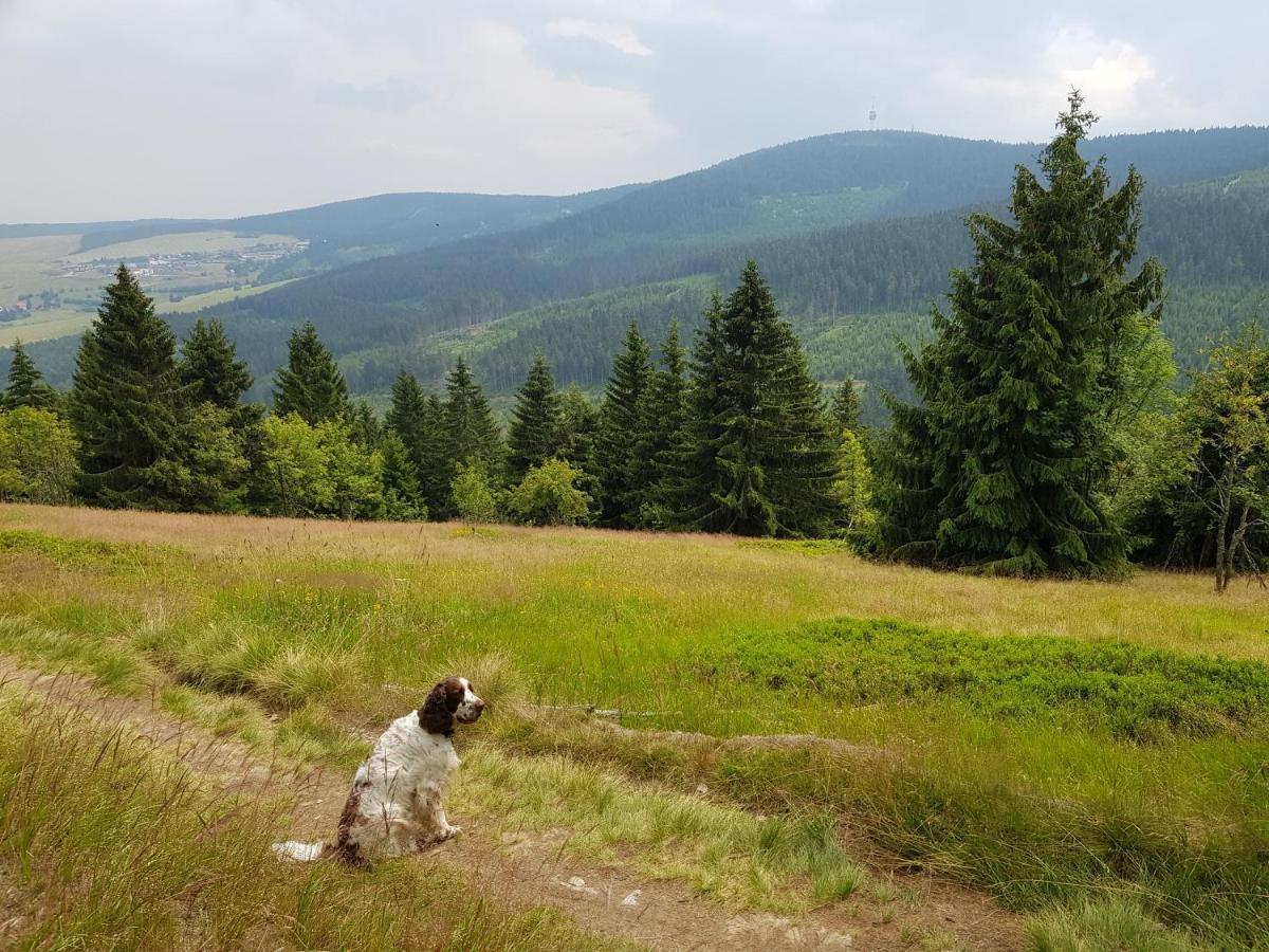 Ferienwohnung Grenzblick Oberwiesenthal Eksteriør billede